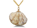 This fashion forward seashell pendant with yellow gold overlay is a must have.  A yellow gold outline adds a touch of elegance to this beach inspired piece.  Pendant is 1 1/2 inches long long and hangs on a three strand 18 inch yellow gold overlay chain.